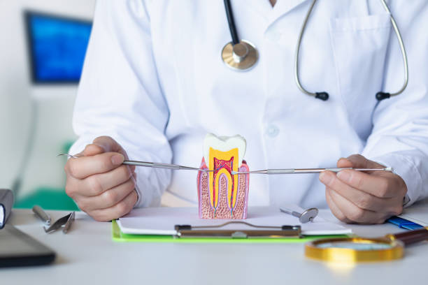 Best Emergency Dental Services for Seniors in Havelock, NC